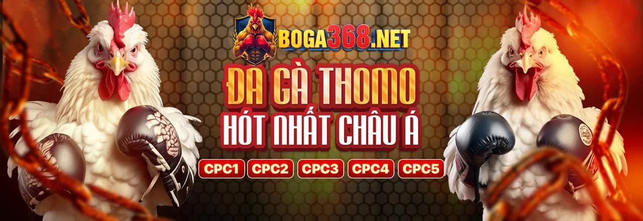 Cộng đồng người chơi ban ca 29 đang tận hưởng đá gà trực tuyến